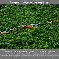 P2007 10LeGrandVoyageDesEspeces 